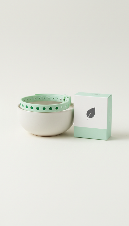 Cat Collar in Fresh Green